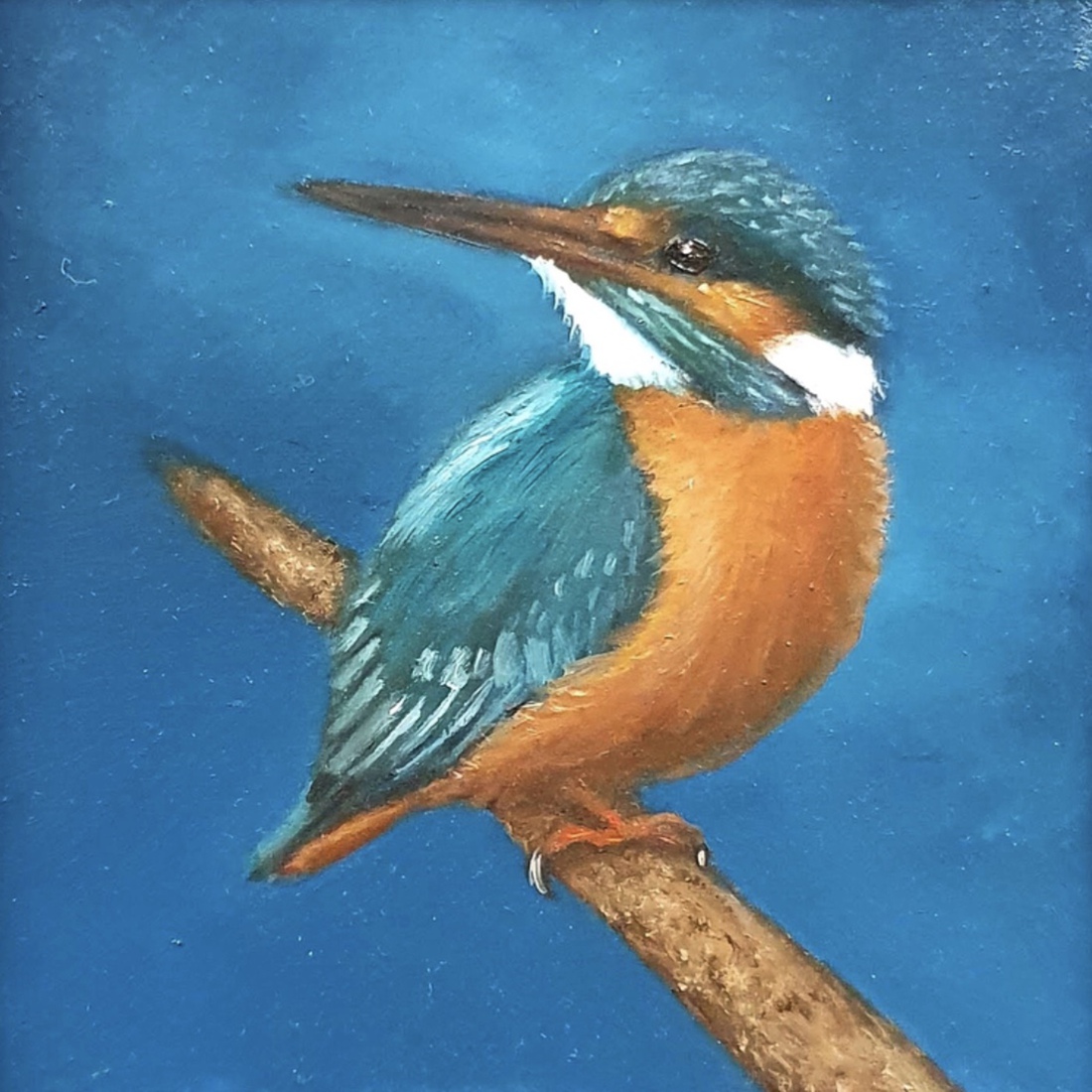 IJsvogeltje