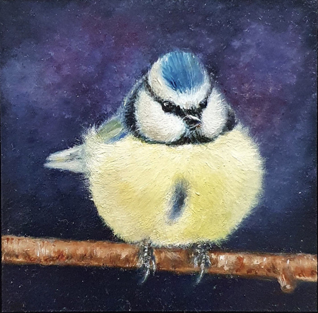 Pimpelmeesje