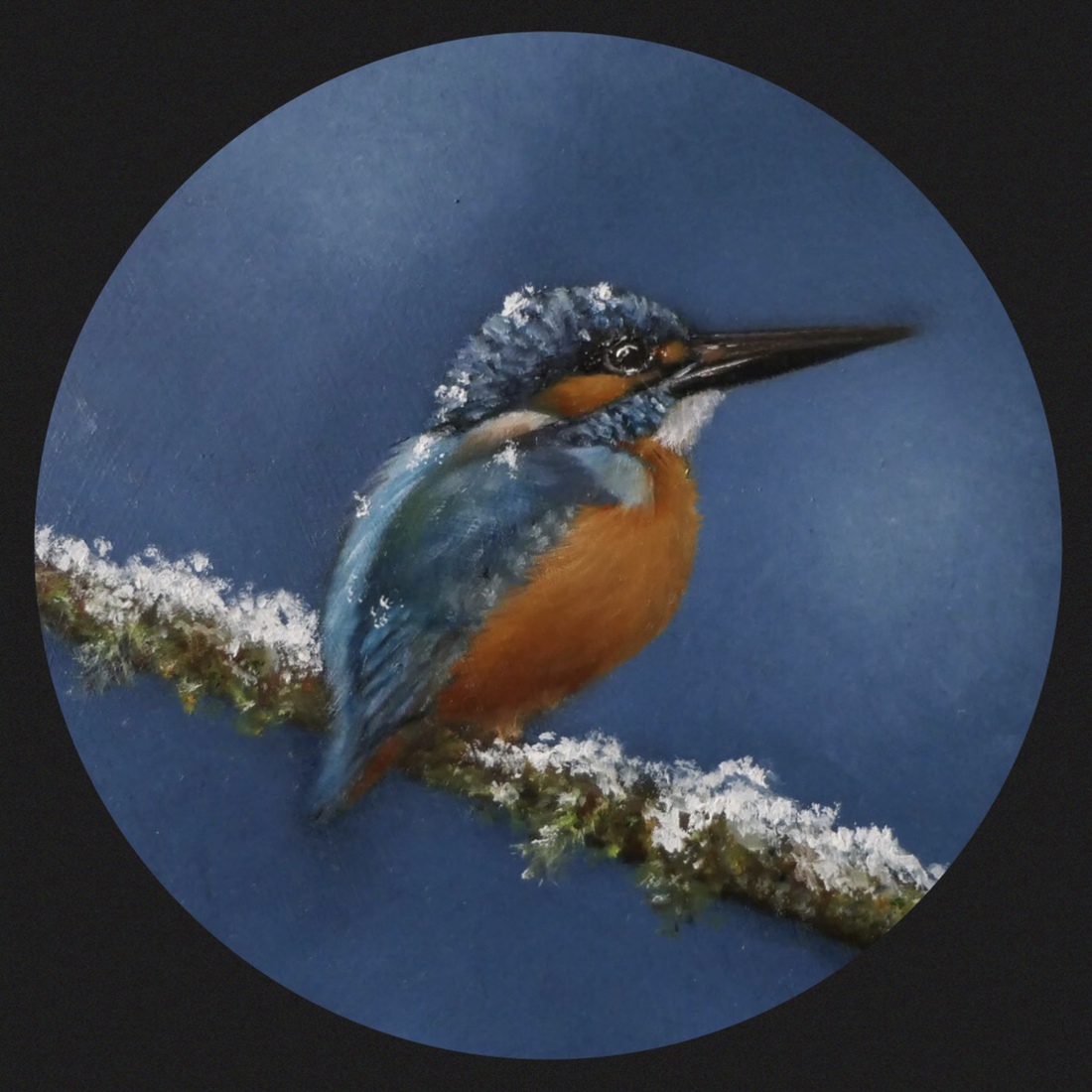 IJsvogel in de sneeuw