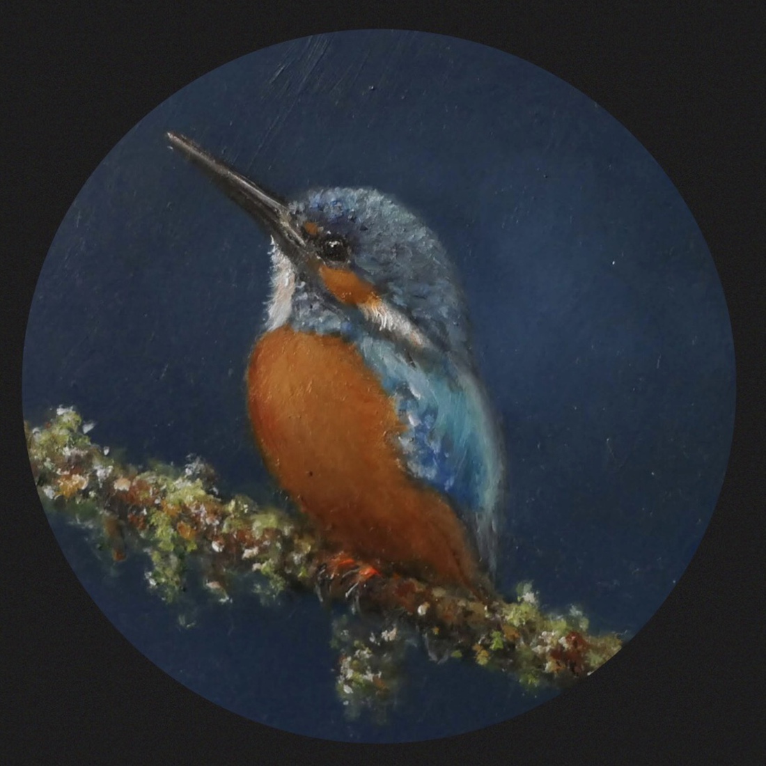 IJsvogeltje