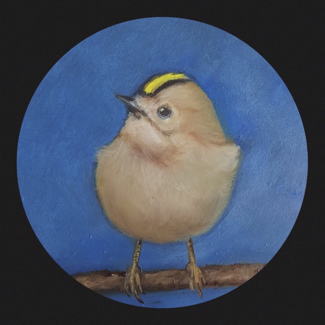 Goudhaantje