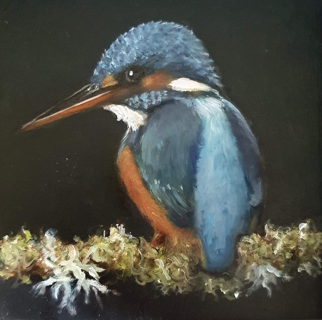 IJsvogeltje