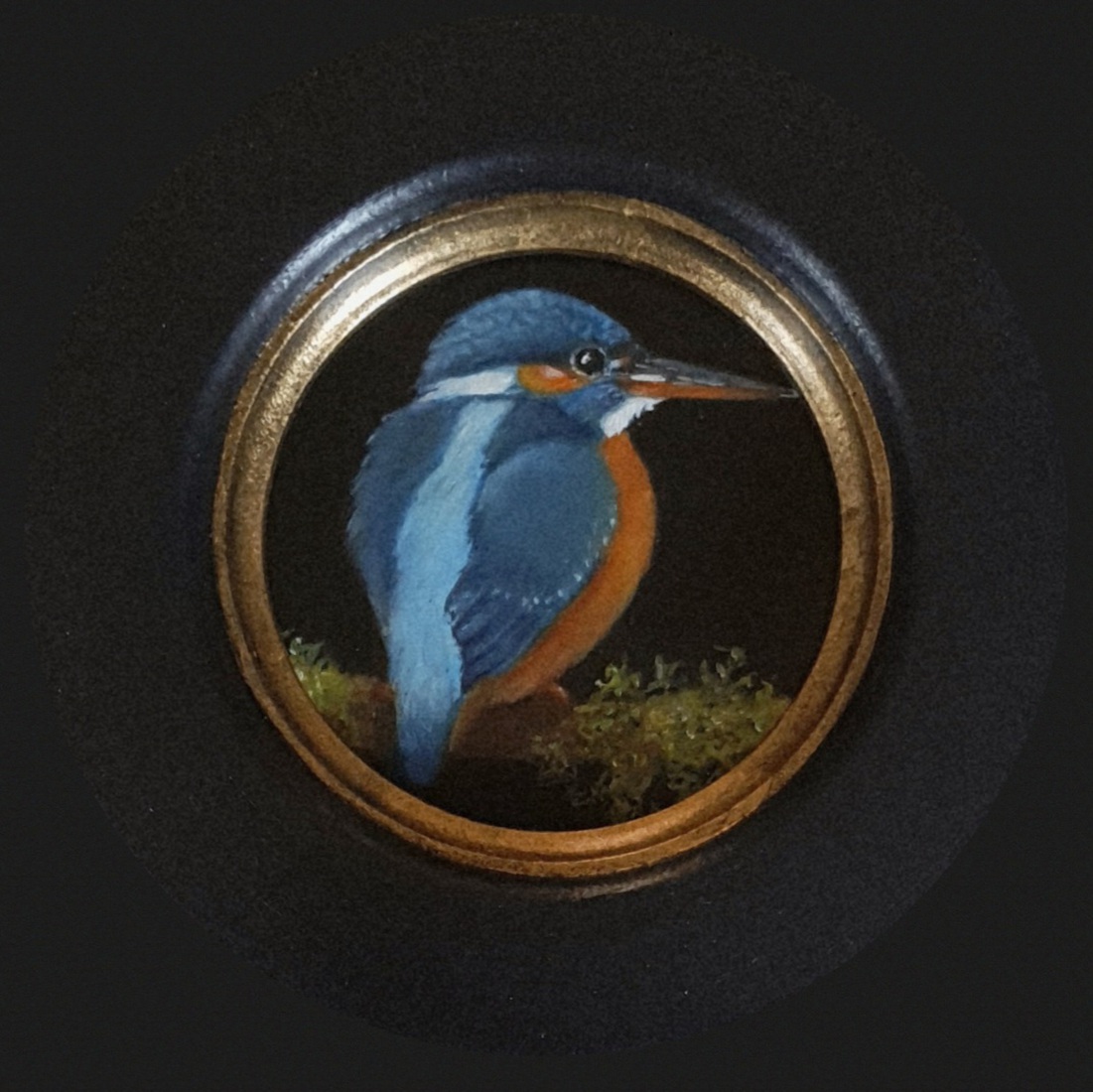 IJsvogeltje