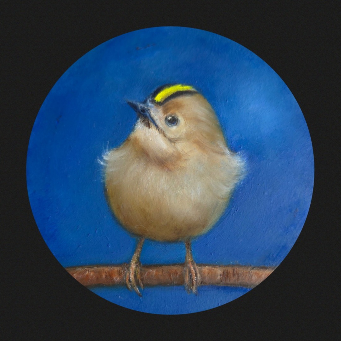 Goudhaantje 