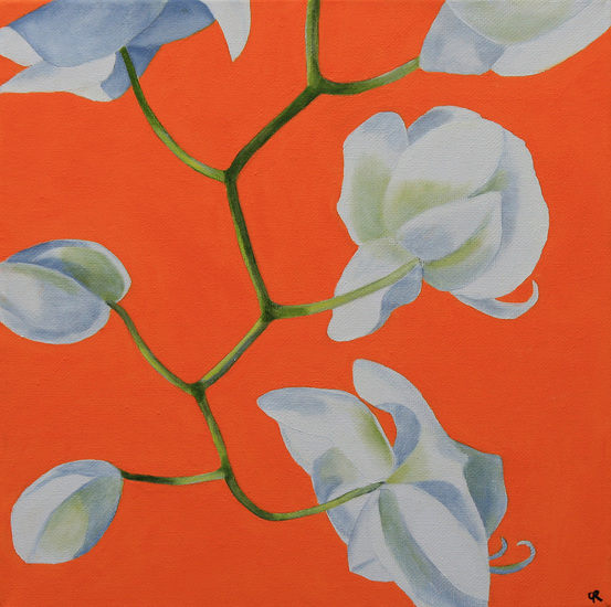 orchidee oranje achtergrond