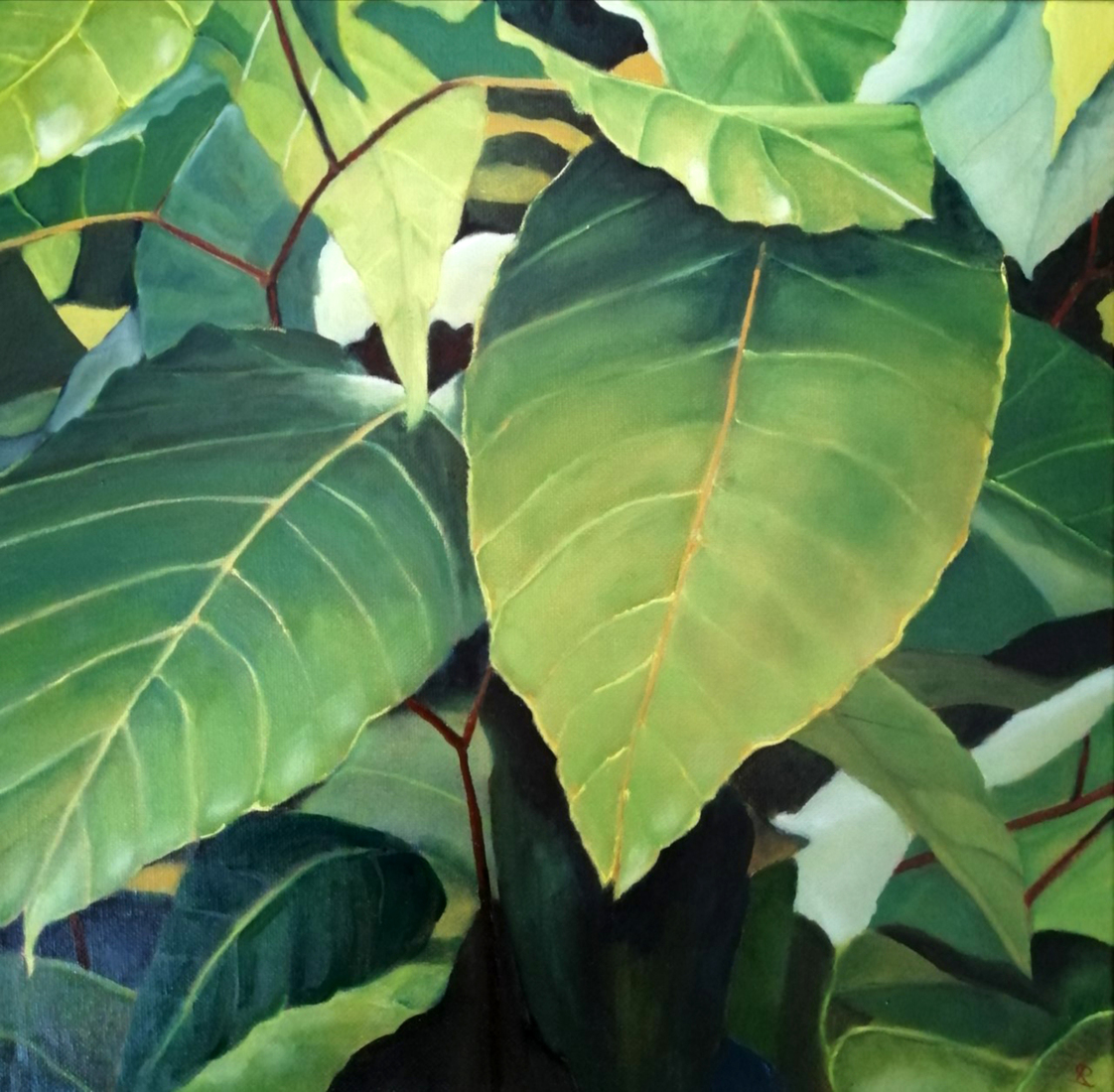 Japanse duizendknoop