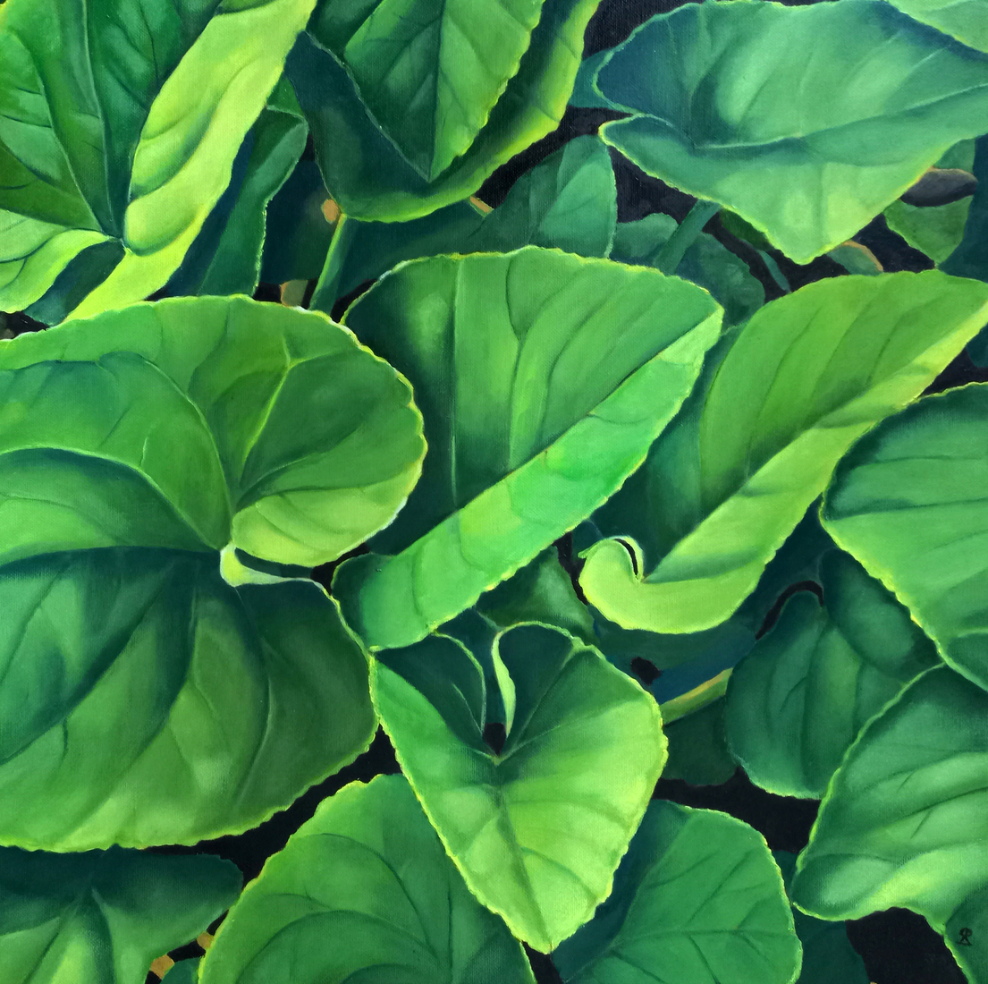 Nog groen achter de oren