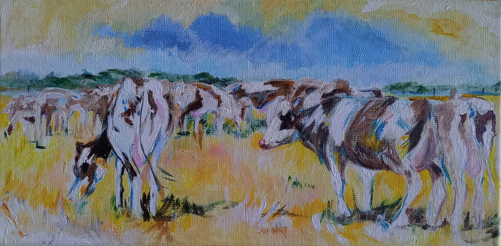 Zomer Koeien