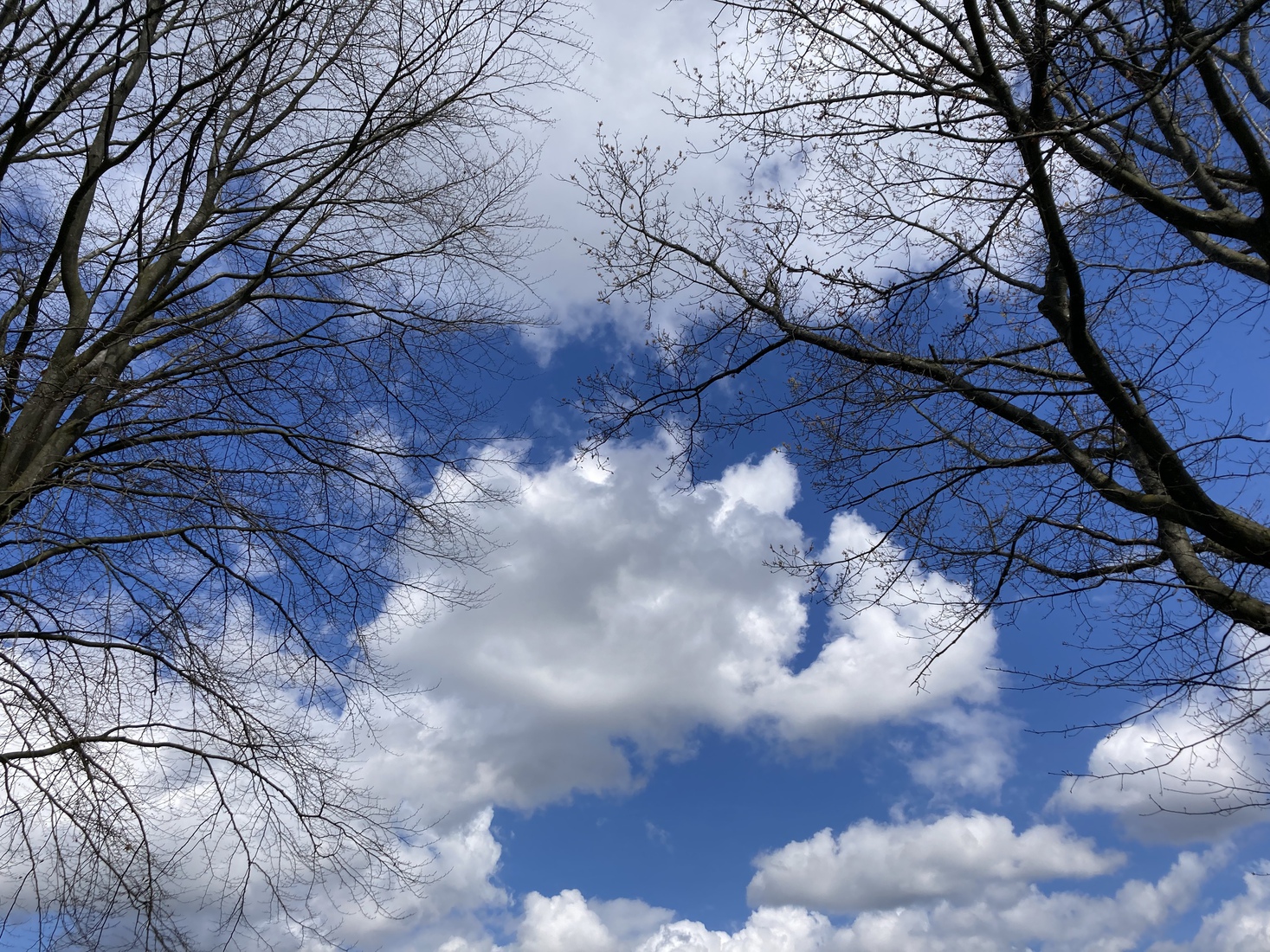 Wolken 10