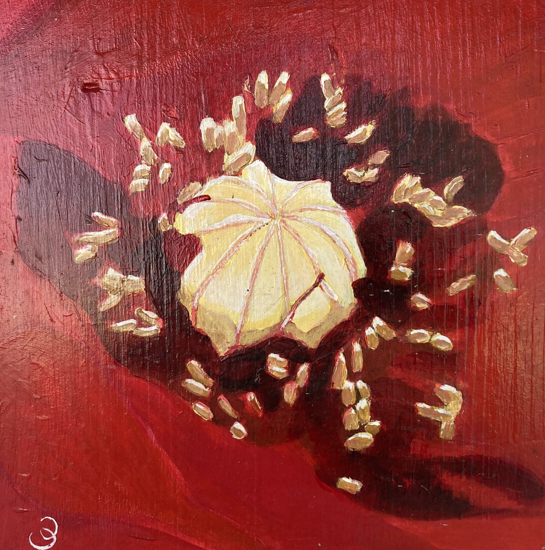 Het hart van de papaver 1