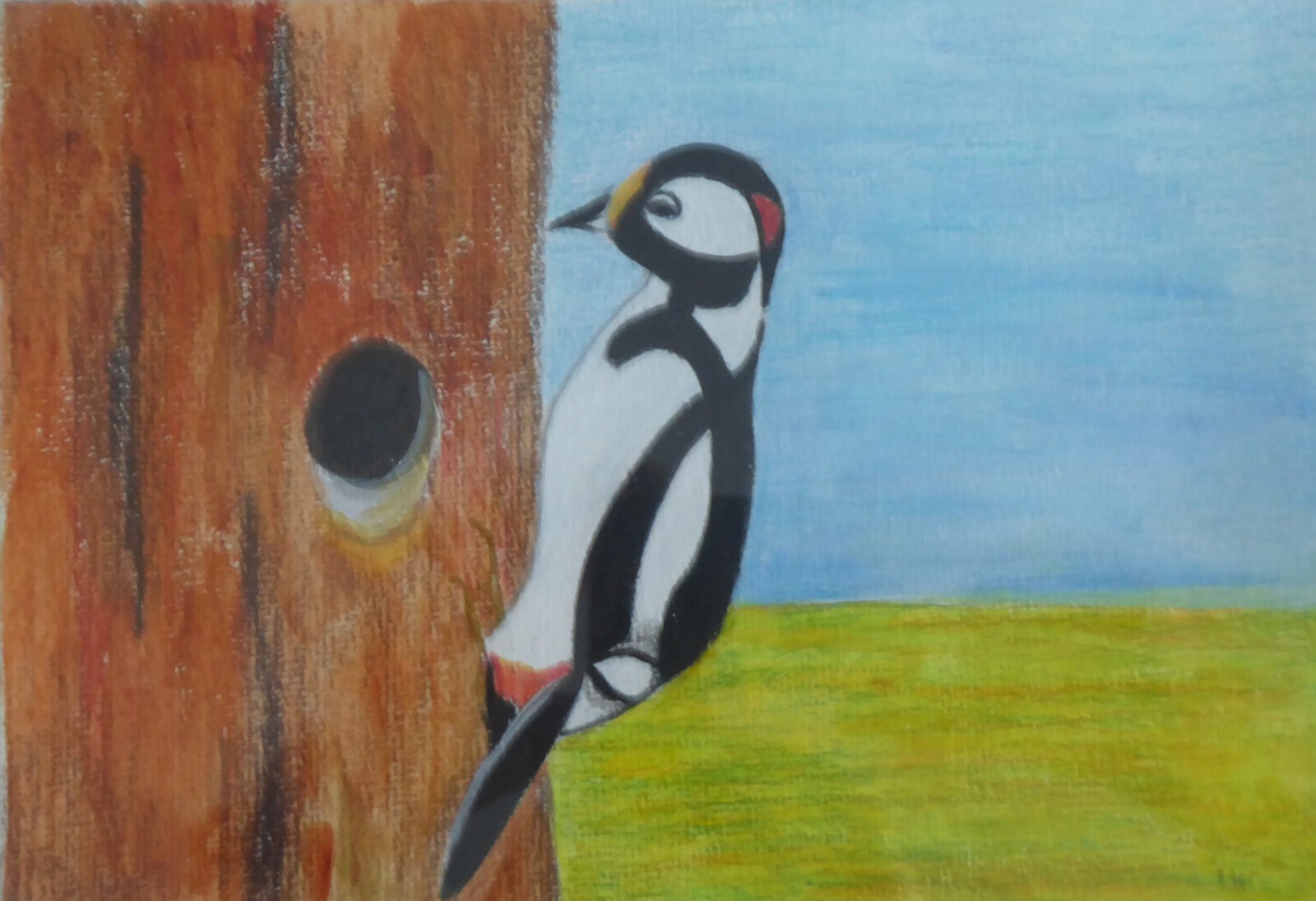 De kleine bonte specht