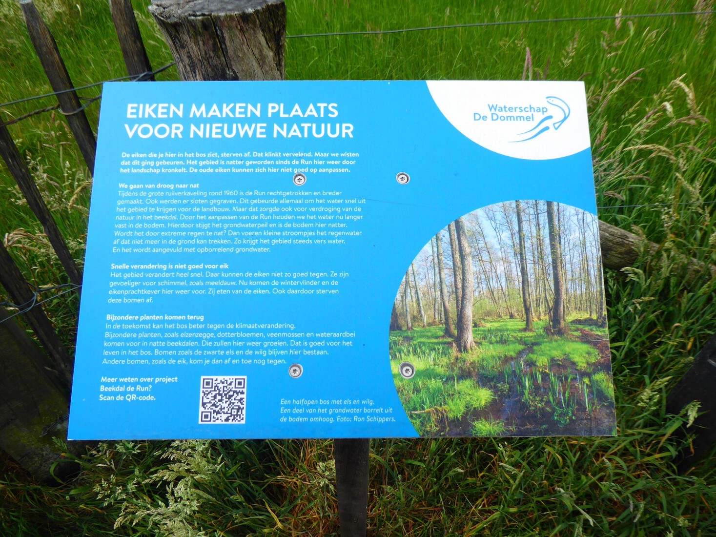 Informatiebord over eiken