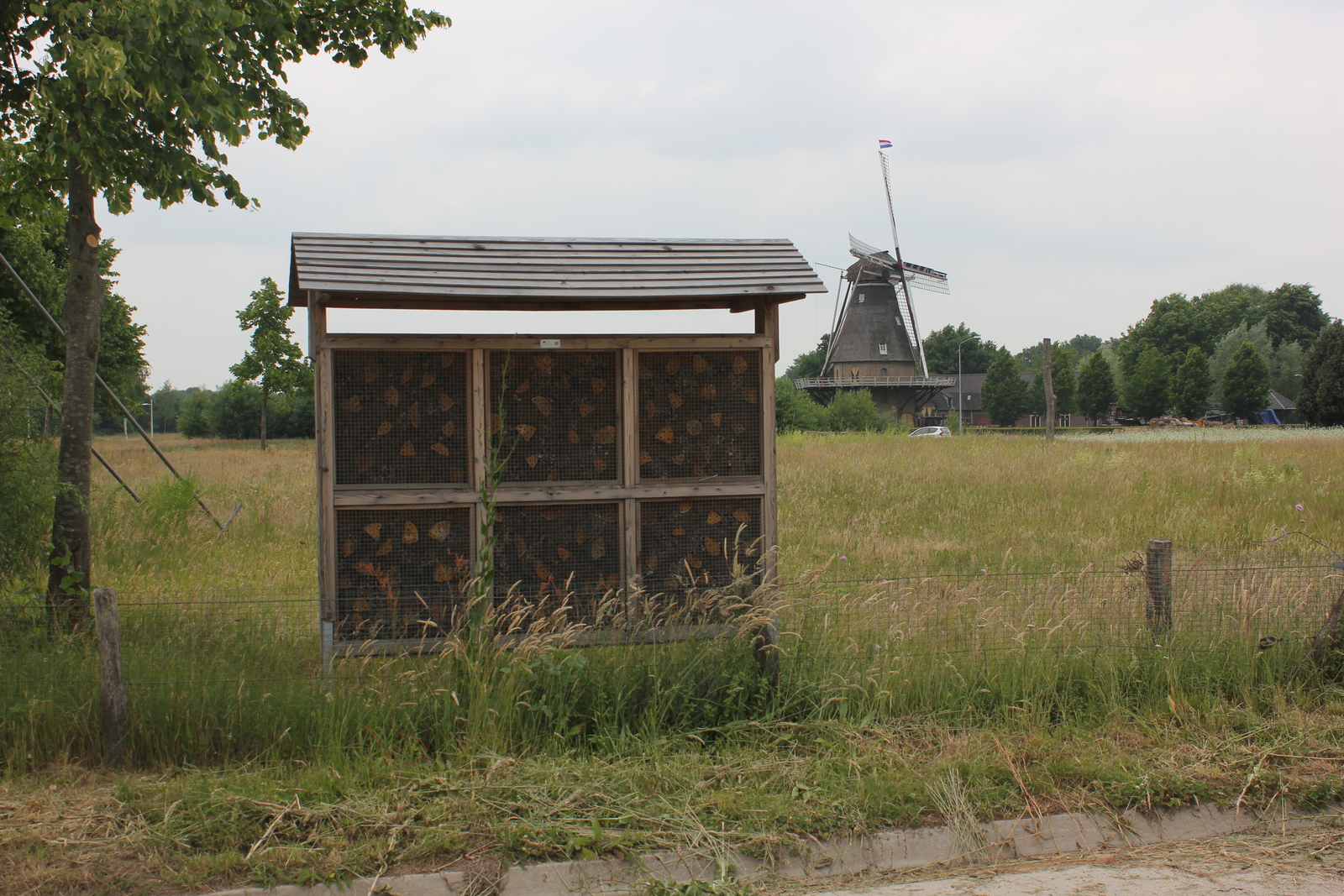Molen 1