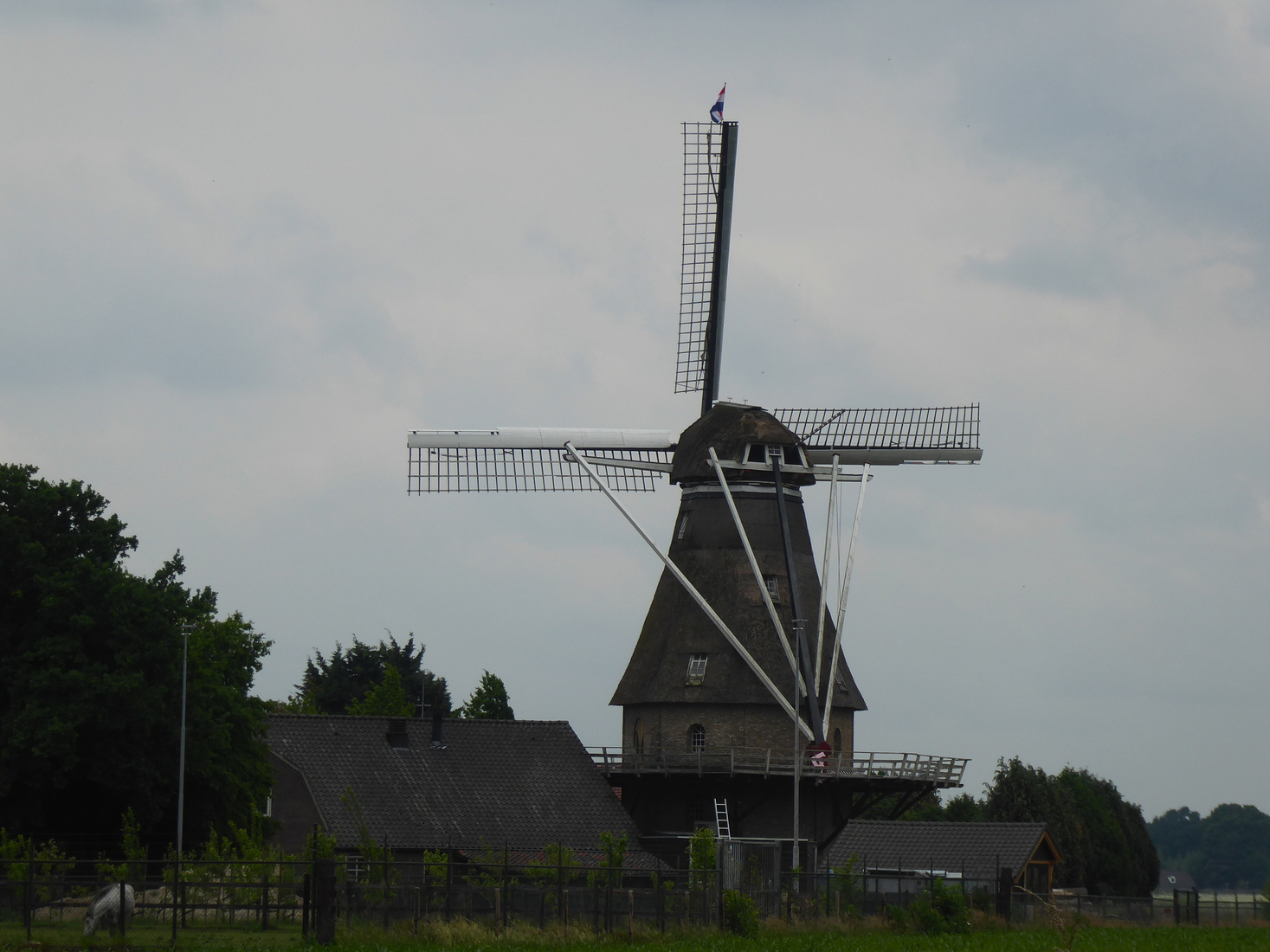 Molen 2