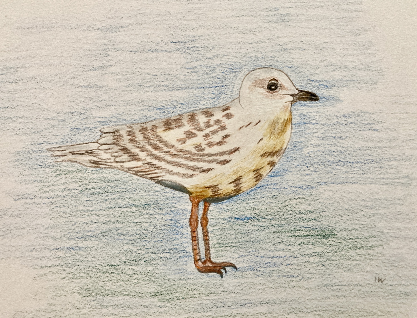 Een Jonge Burgemeester