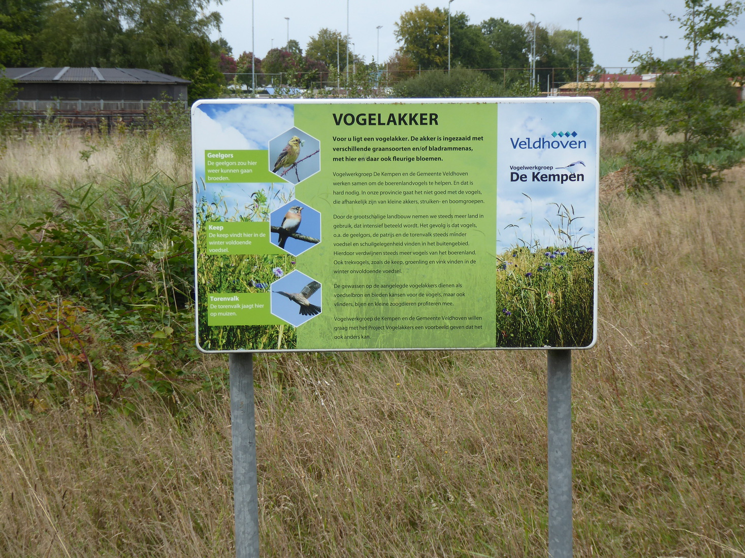 Veldhoven 94
