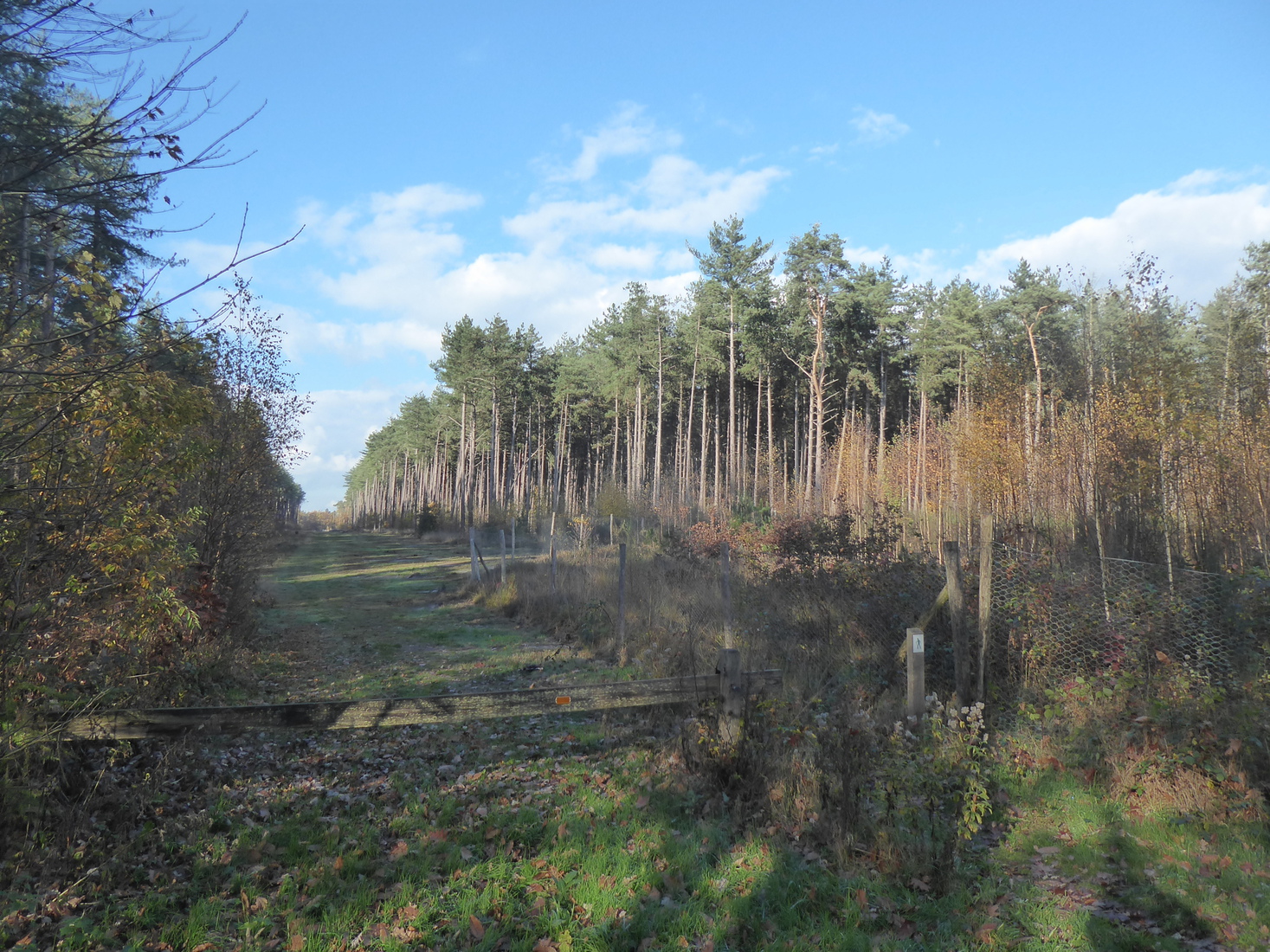 Landschap in Postel 1