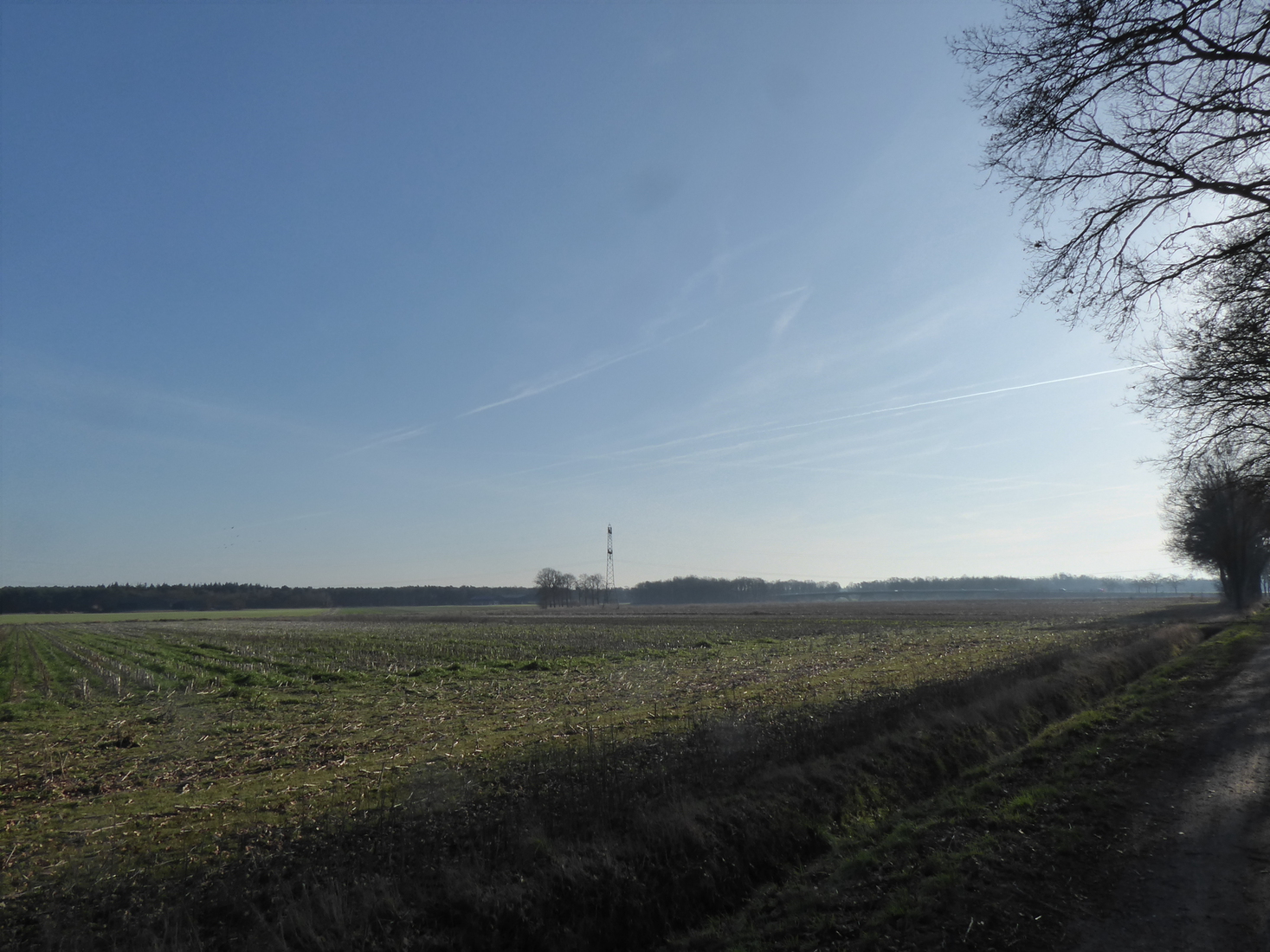 Landschap 1