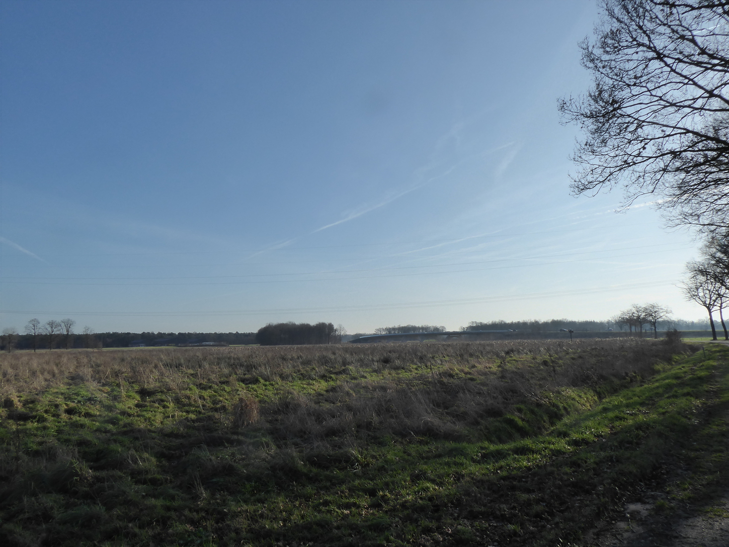 Landschap