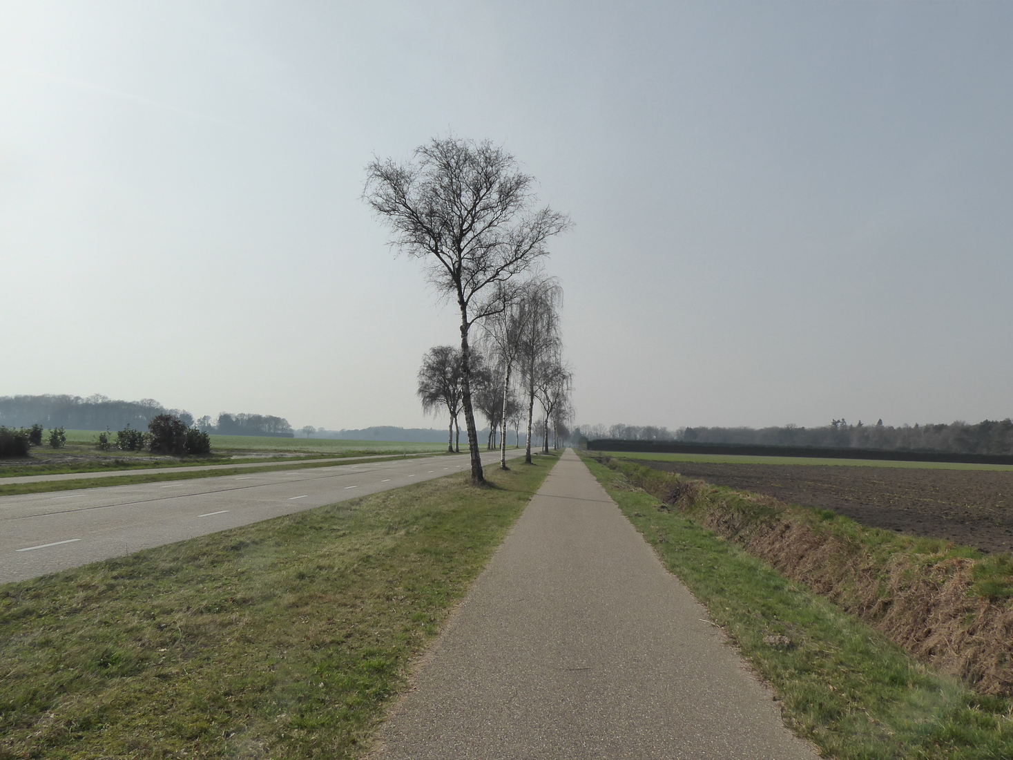 De Eindhovenseweg 3