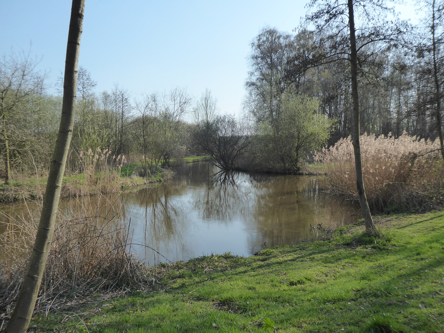 De Dommel 3