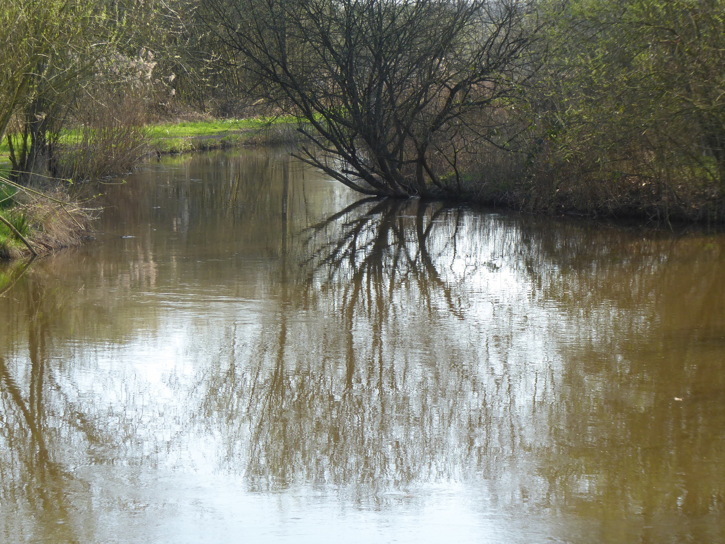 De Dommel 4