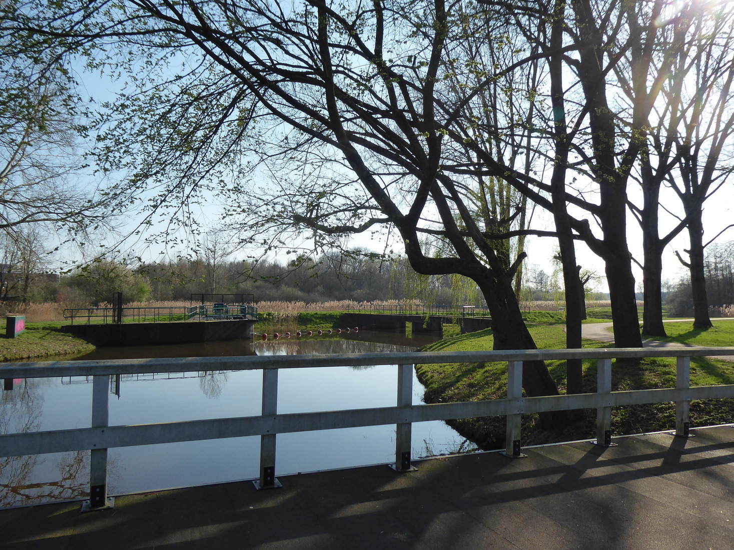 De Dommel 7