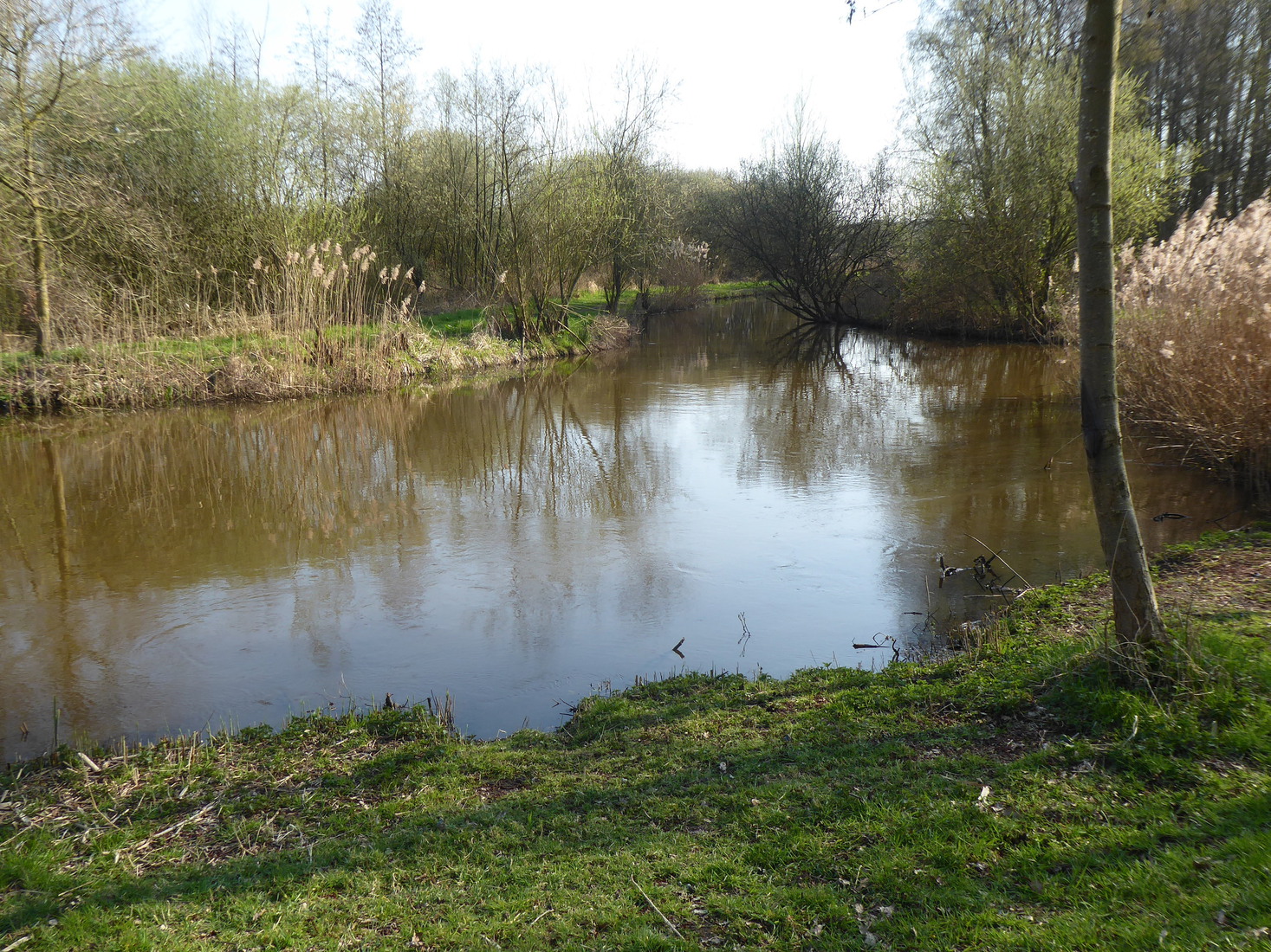 De Dommel 9