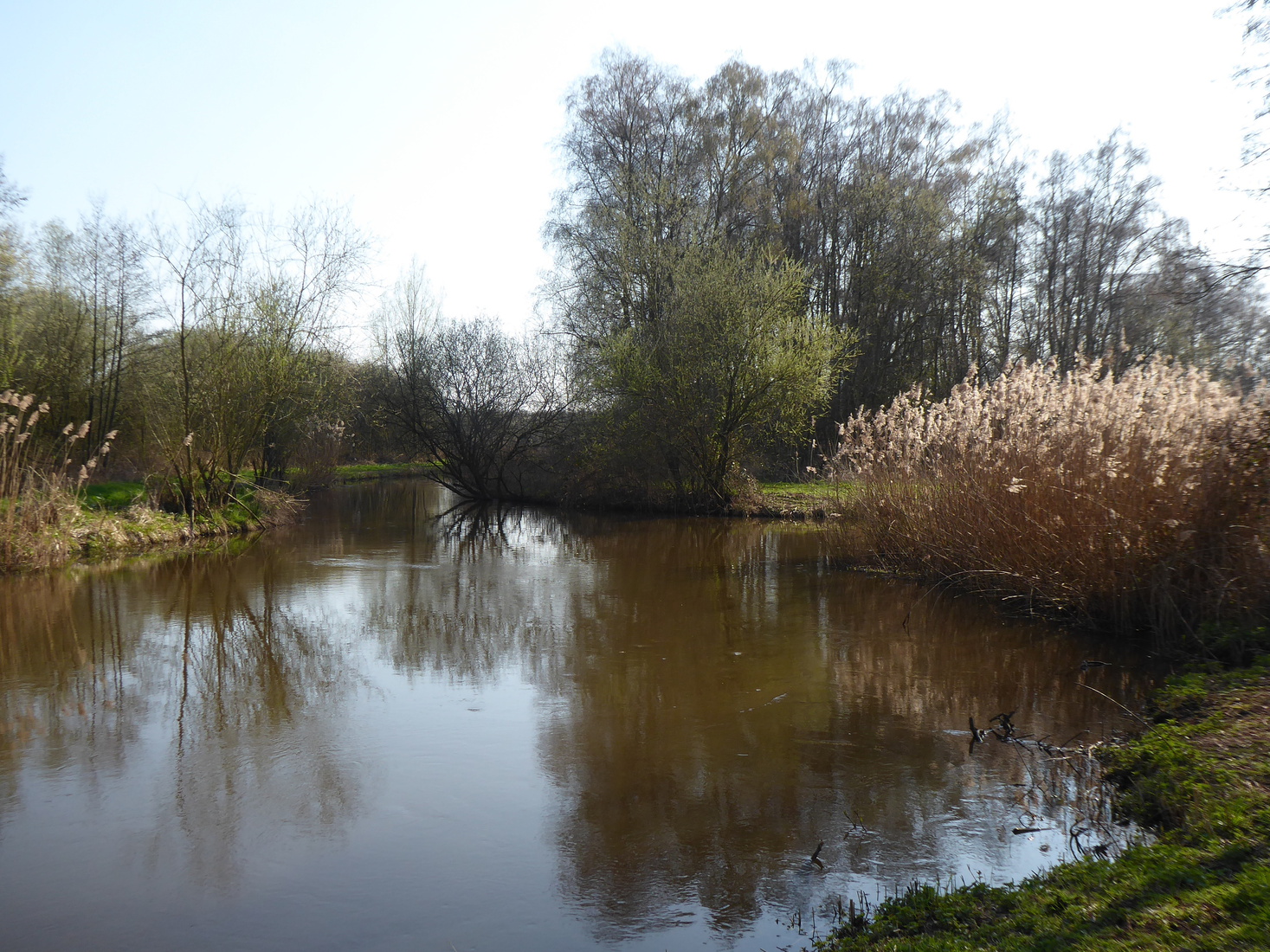 De Dommel 10