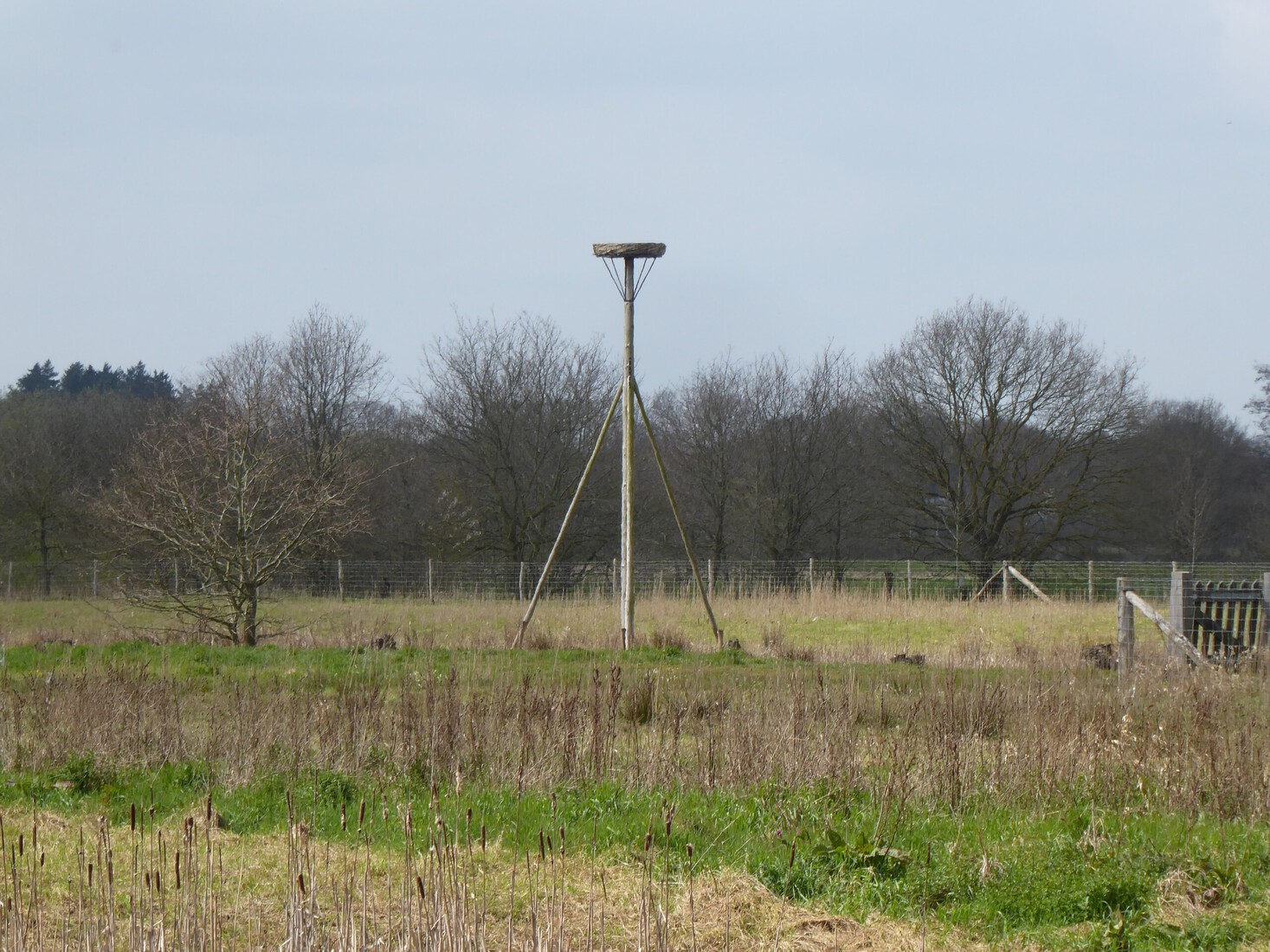 Een leeg nest