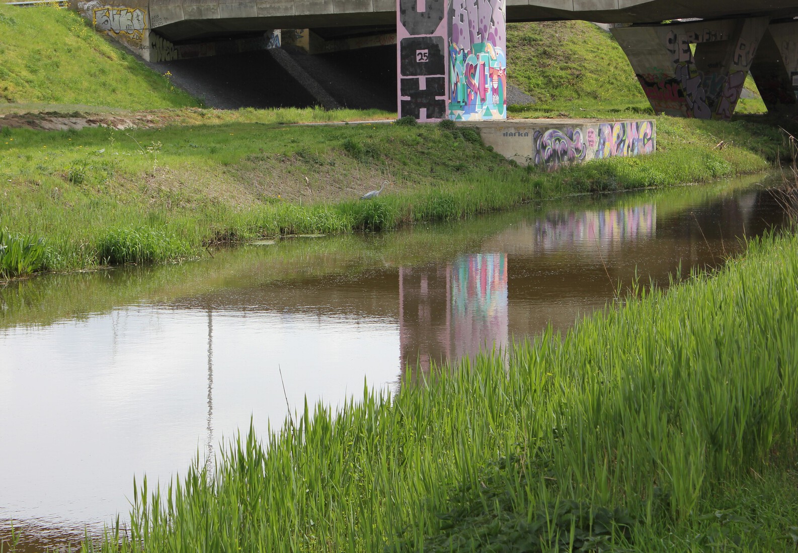 Een reiger