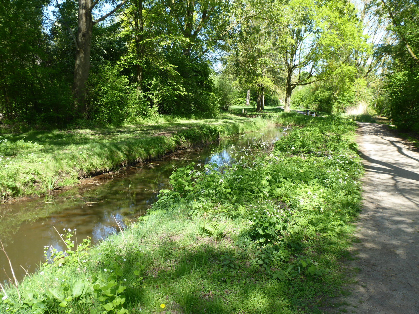 Bij de klotput 1
