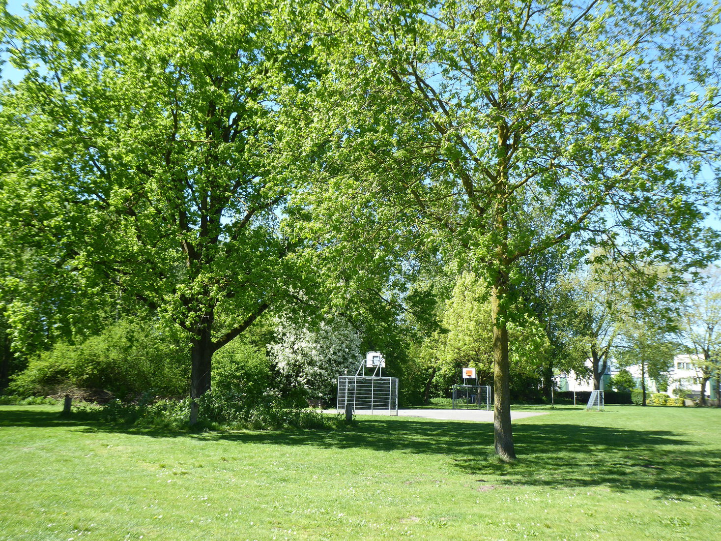 Speelterrein