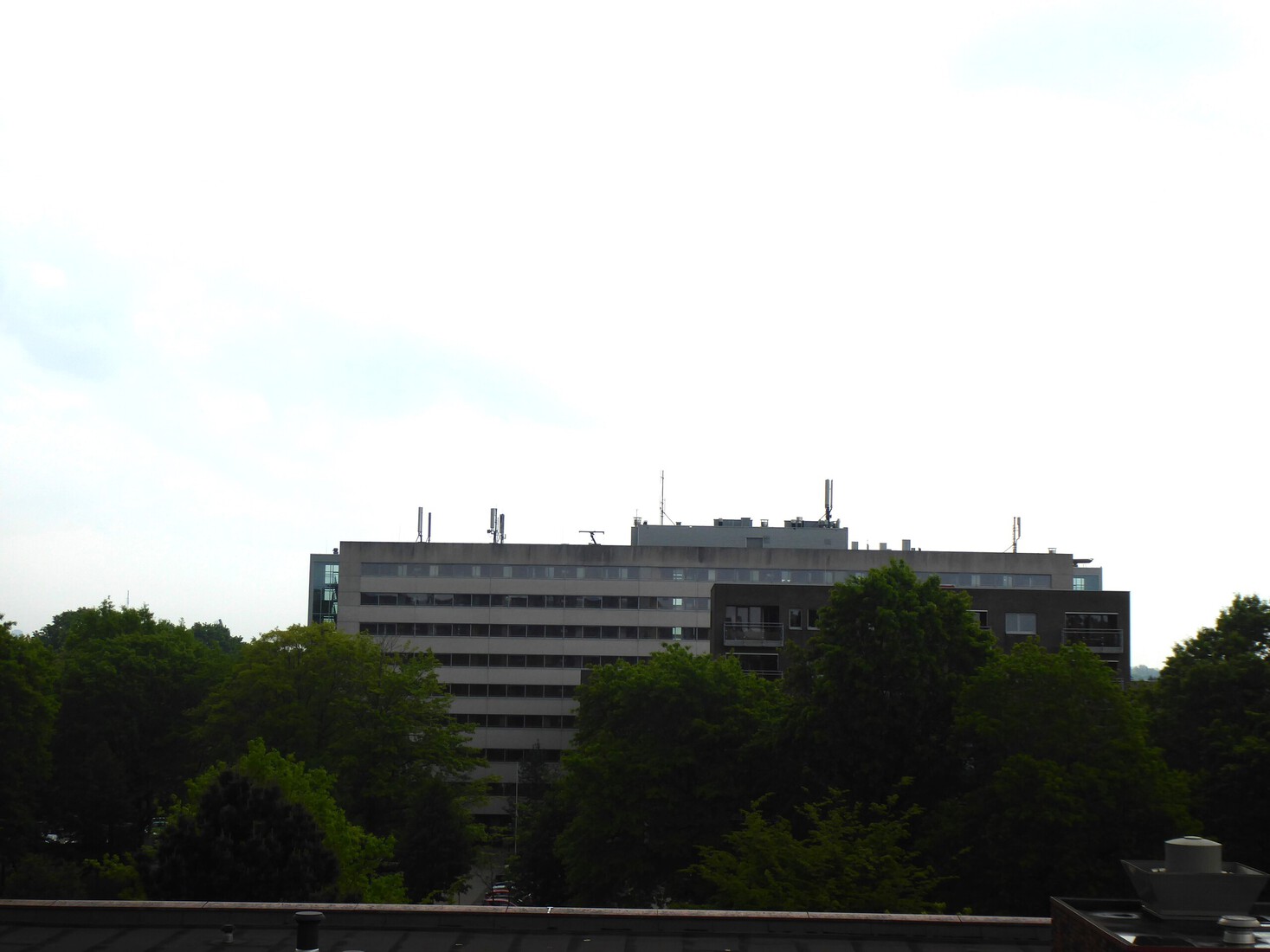 Meerenfeld 1