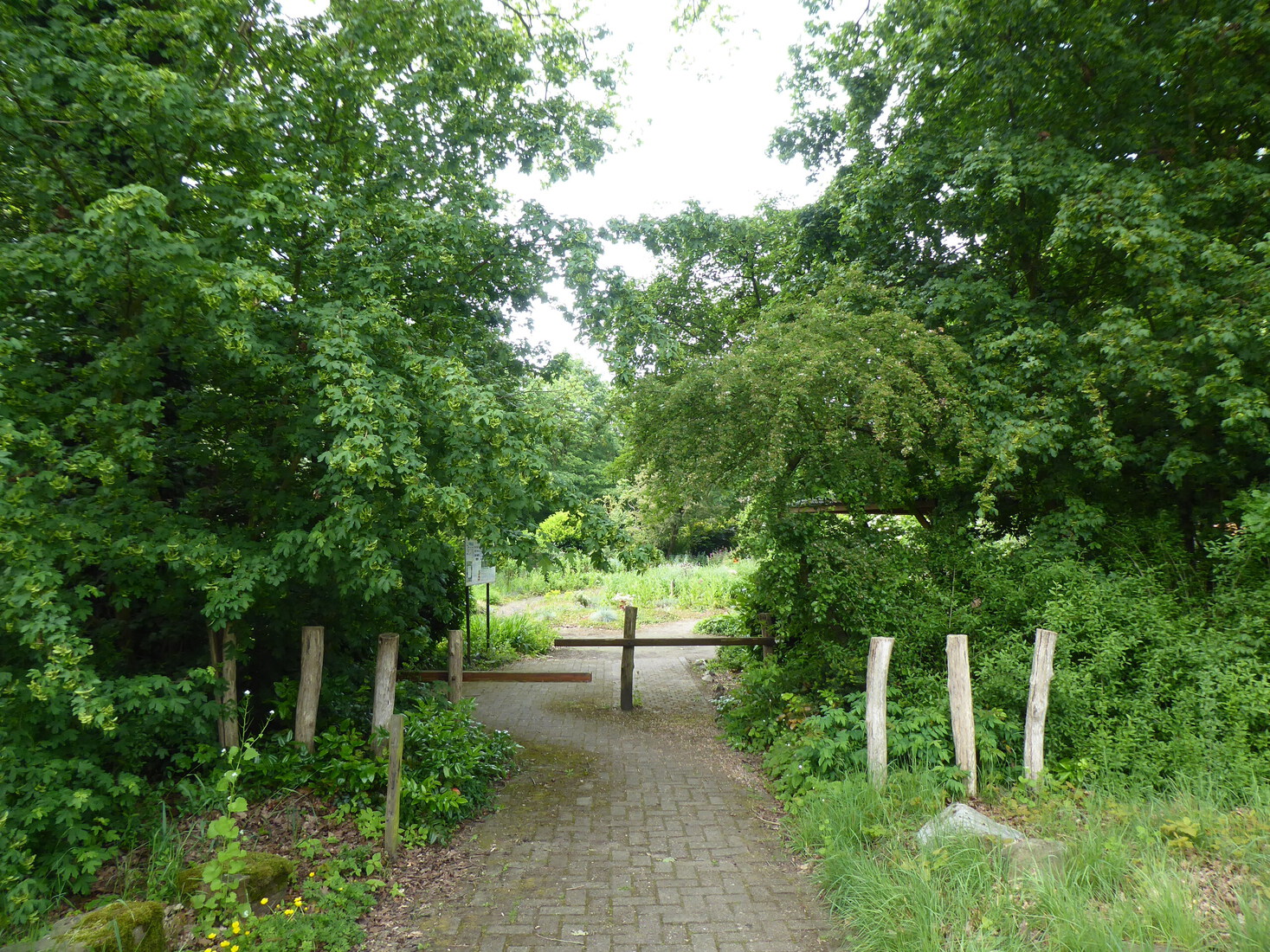 Vlinder en insectentuin 2