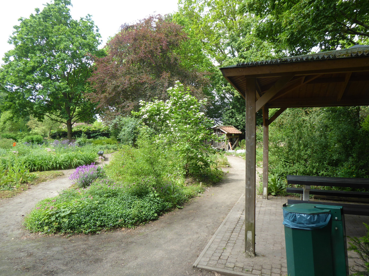 Vlinder en insectentuin 4