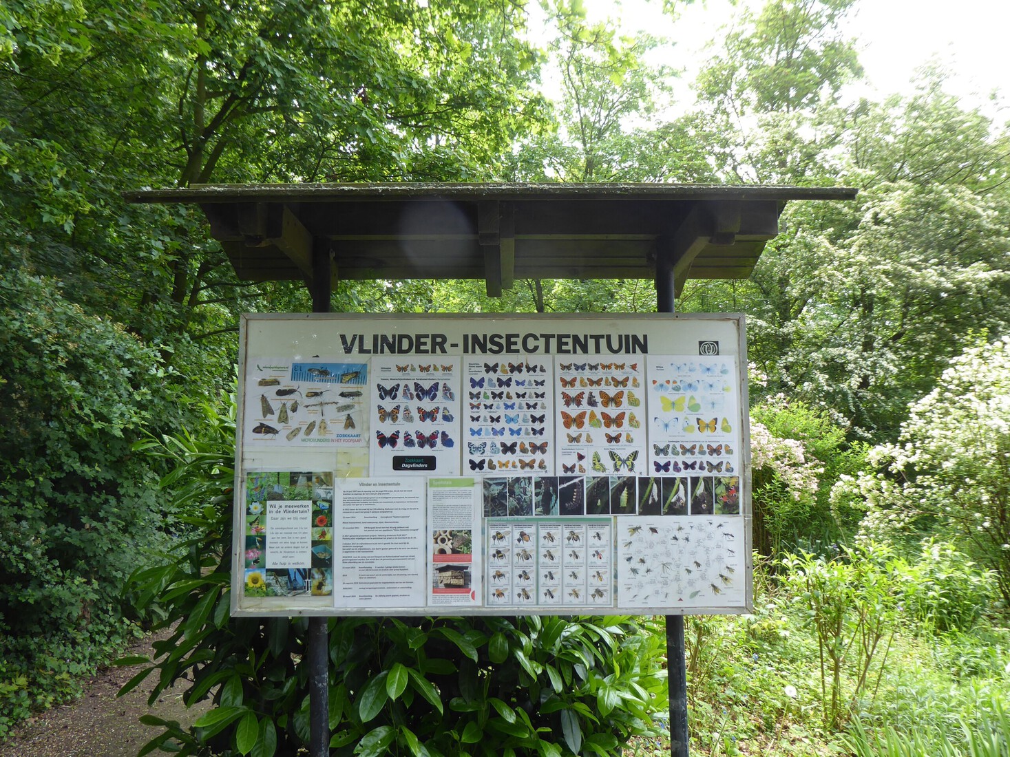 Vlinder en insectentuin 6