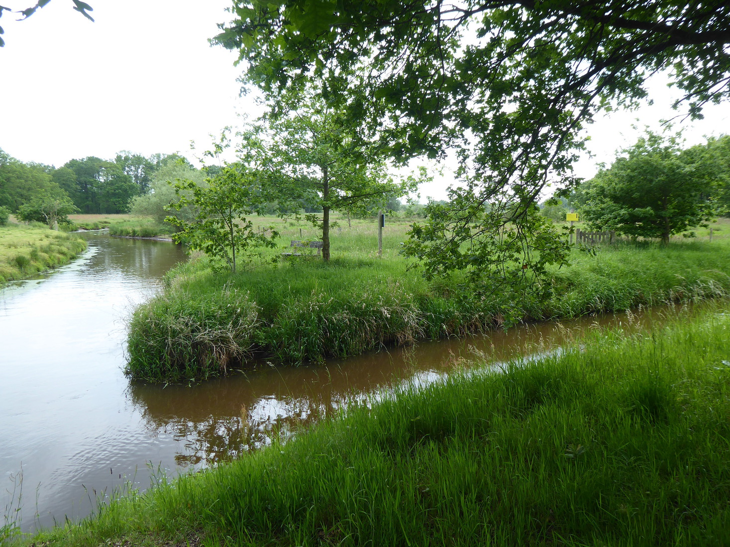 21 mei De Dommel 2