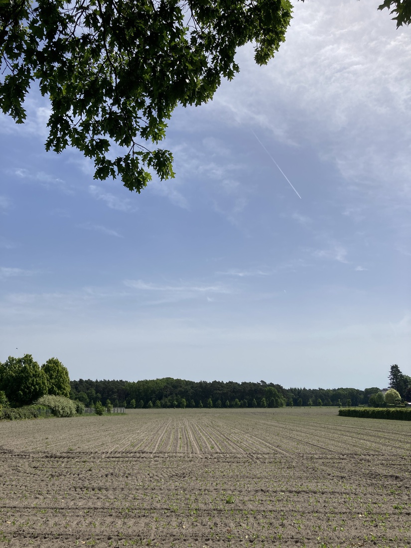 Buiten 2