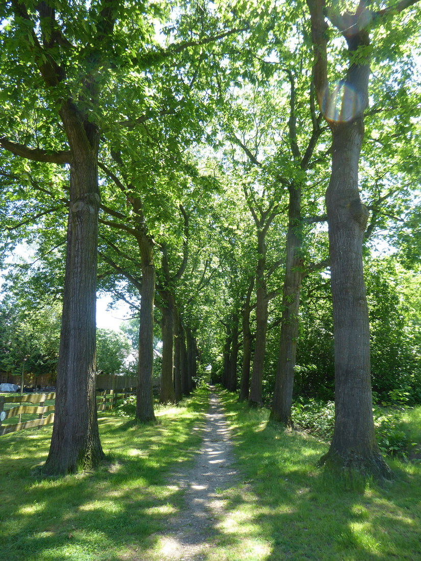 Mooi laantje
