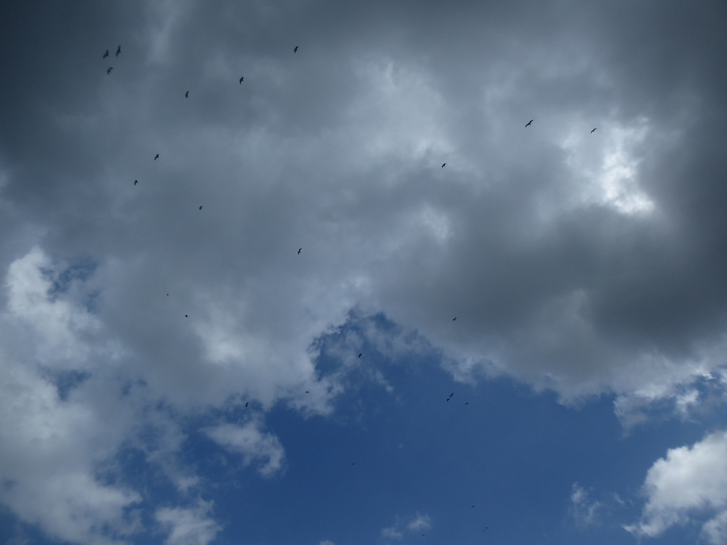 Mooie wolken 4