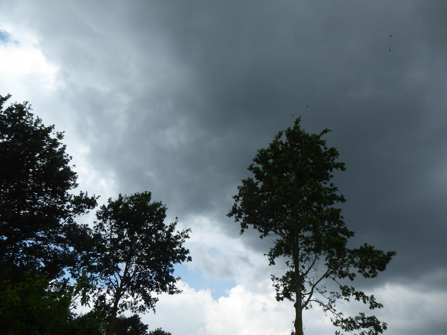 Mooie wolken 5