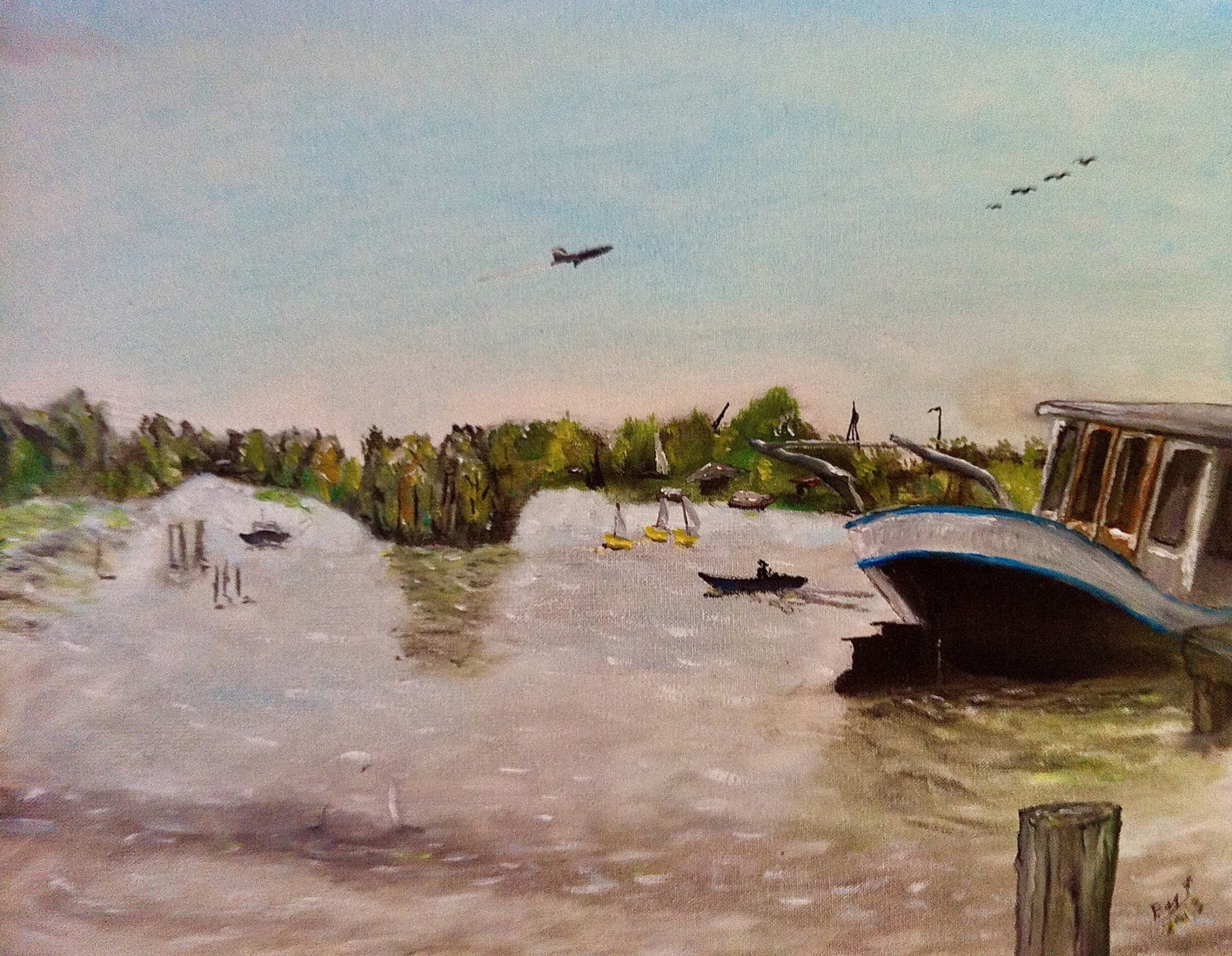 Vinkeveense plassen zomerse dag