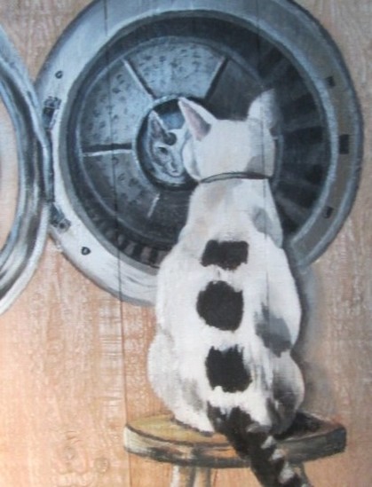 Kat kijkt waar hij in zat.