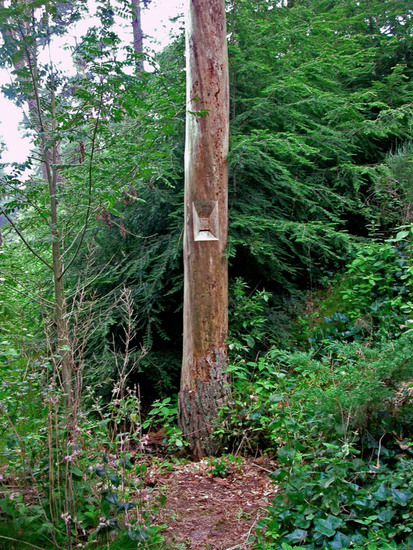 sculptuur in een dode boom