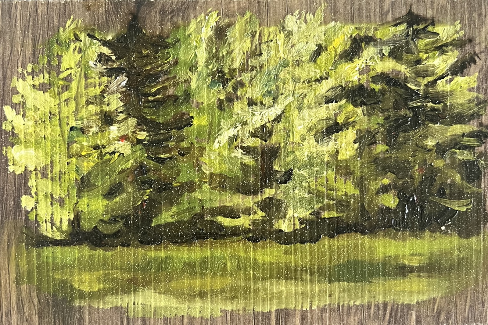 Lente in Tsjechië, gemengd woud