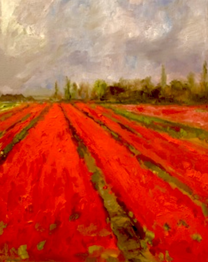 Vuurrood bij Leeuwenhorst, Noordwijk 