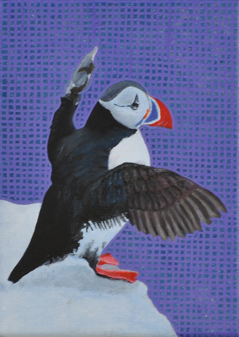 Puffin