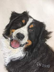 Dierenportretten in pastel