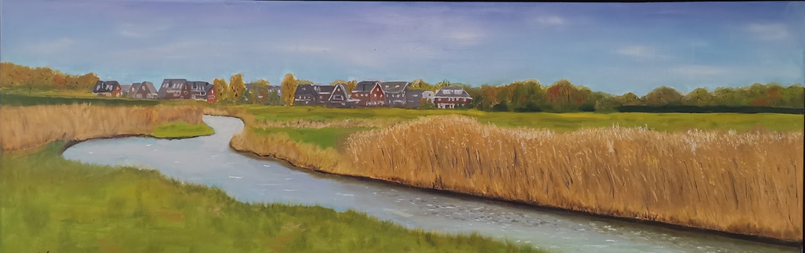 Huizen aan Kromme Rijn bij Odijk